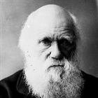 Darwin, the Hipster
