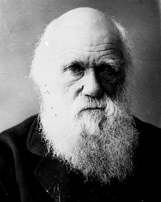 Darwin, the Hipster