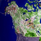 Greening Across the Arctic