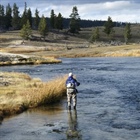 Restoring Rivers for Flyfishing and Health