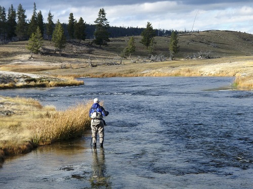 Restoring Rivers for Flyfishing and Health