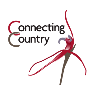 Connecting Country