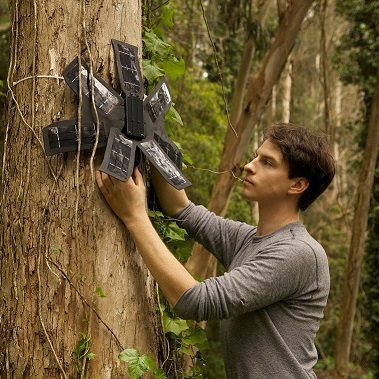 Rainforests Saved with C-phones