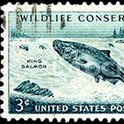 Conservation and Conservatives