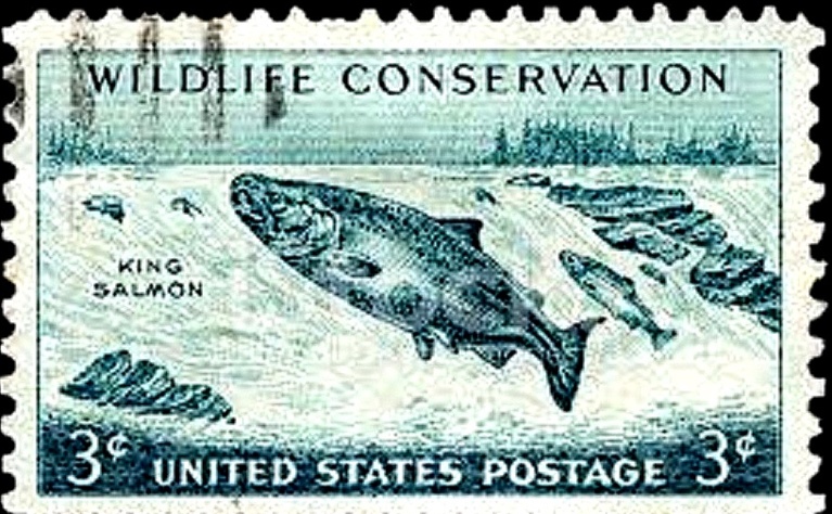 Conservation and Conservatives