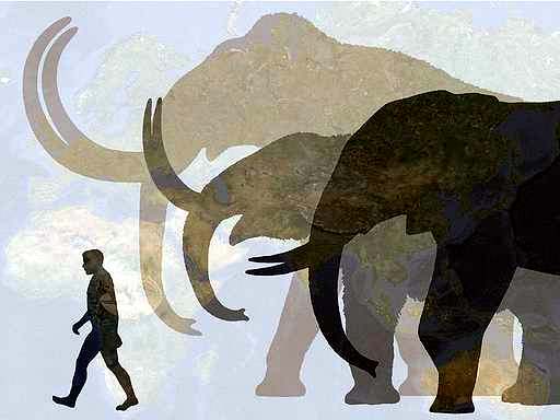 De-extinction & Woolly Mammoths