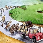 Deforestation: Hey, Move Over!