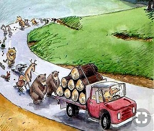 Deforestation: Hey, Move Over!