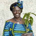 The Wangari Prize
