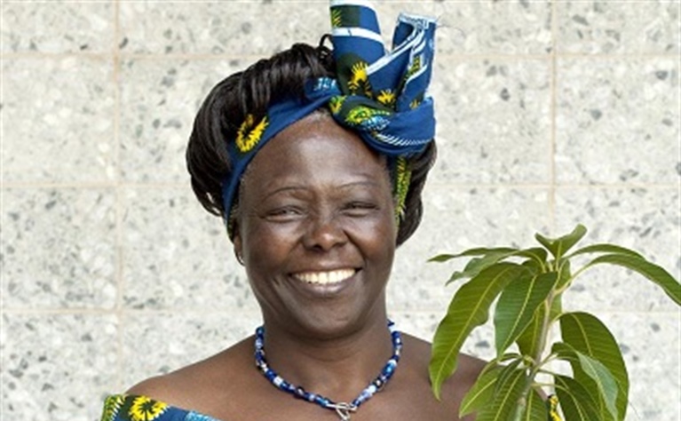 The Wangari Prize