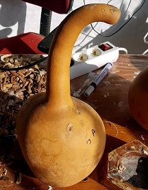 Migrating Gourds