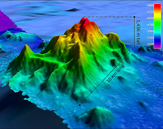 Undersea Mountain Life